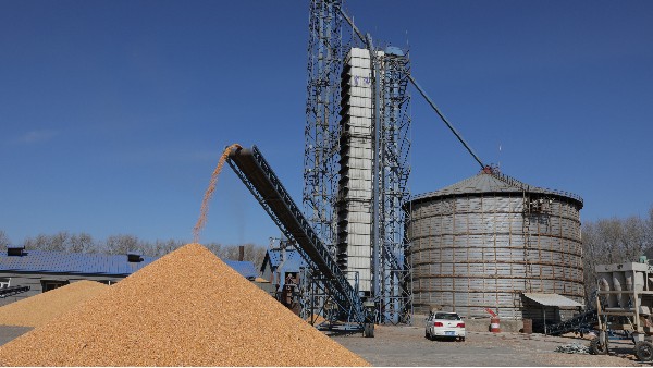 烘糧1萬噸成本僅24萬，秸稈打捆直燃熱風(fēng)爐為農(nóng)戶增收