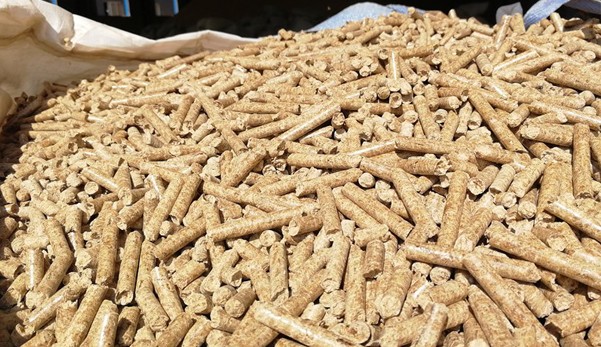 生態(tài)環(huán)境部回應(yīng)！生物質(zhì)成型燃料不是高污染燃料